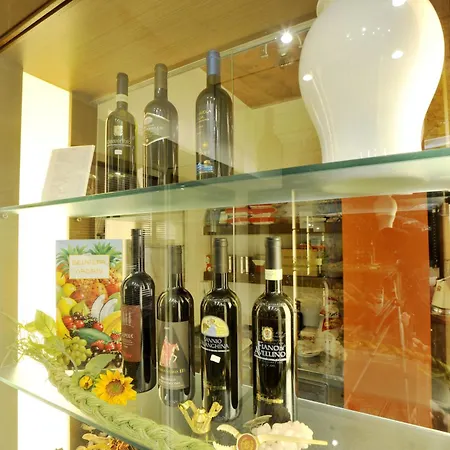 艾尔博格罗马涅酒店 酒店 法塔特米
